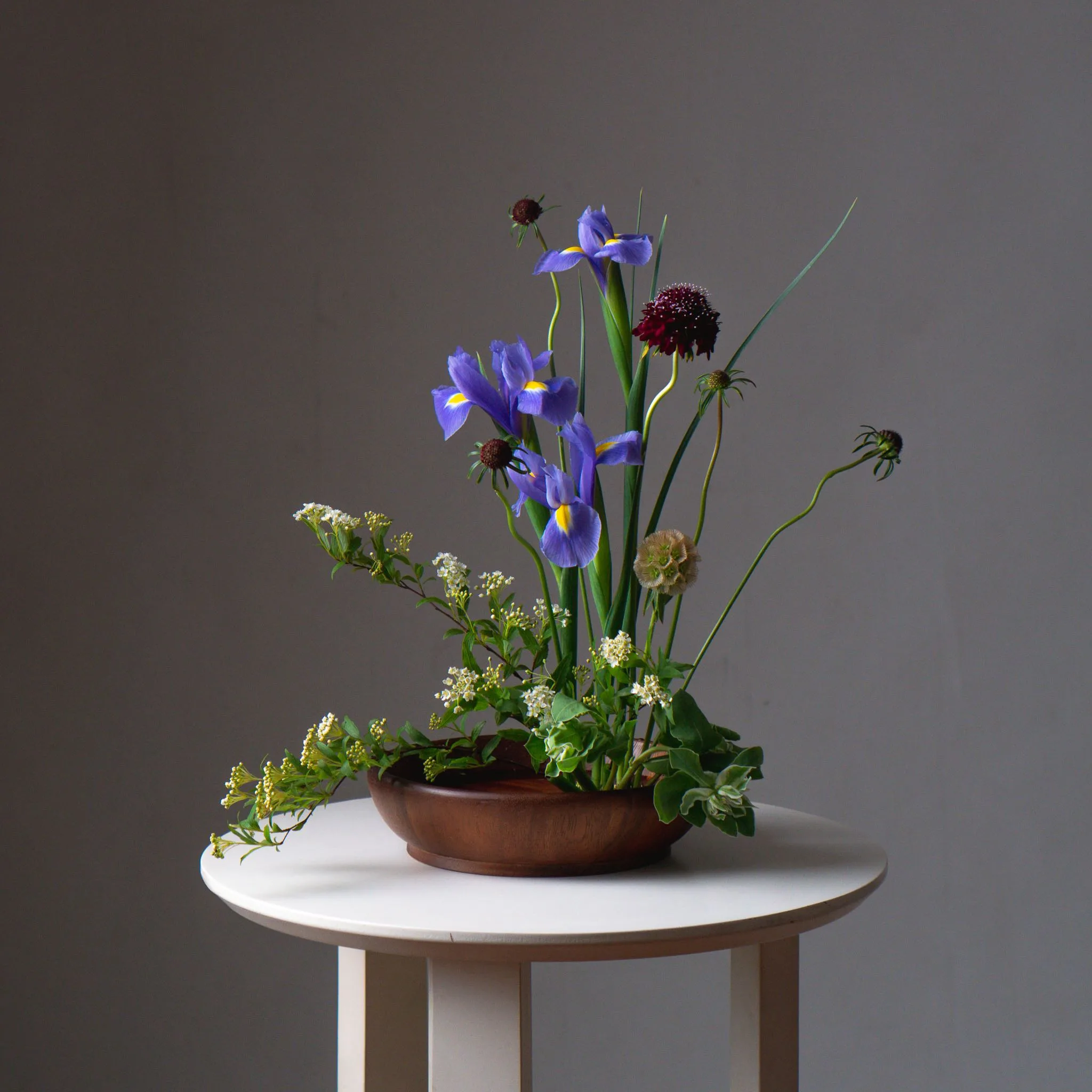 Ibara - A Whisper of Japanese Tray