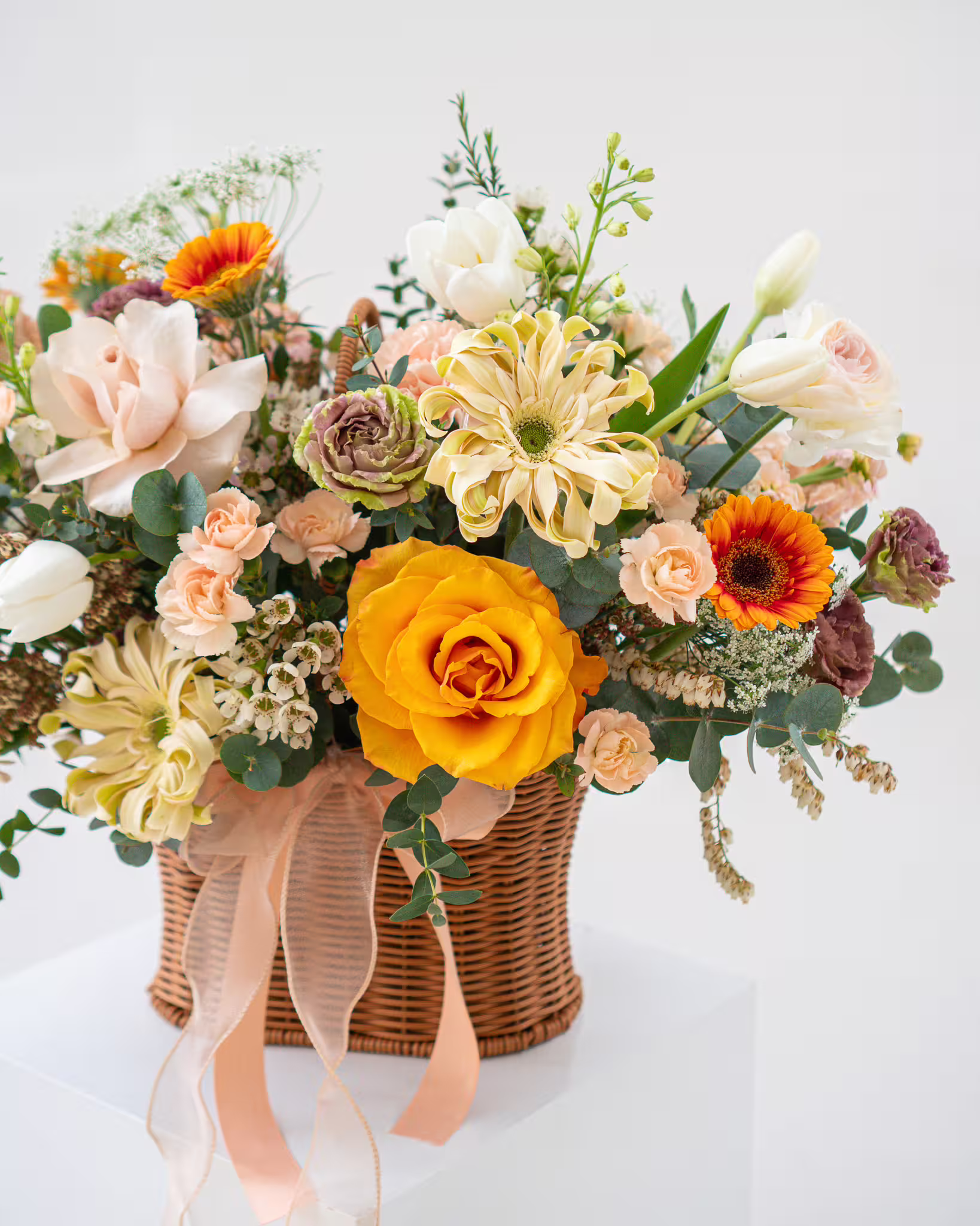 Little Bird - Image 2