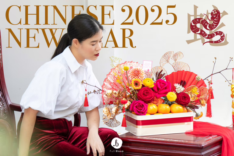ของขวัญต้อนรับตรุษจีนปีมะเส็ง: เฉลิมฉลองครอบครัว, ประเพณีและการเริ่มต้นใหม่