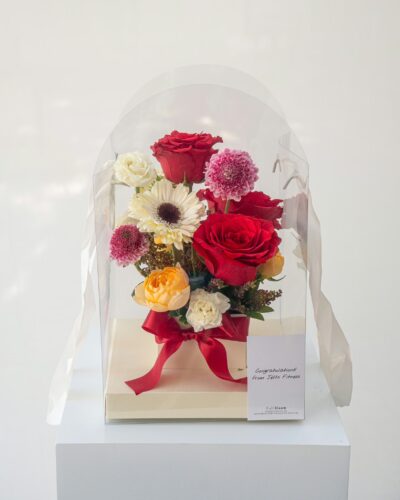 Sweet Jane (Clear Box)