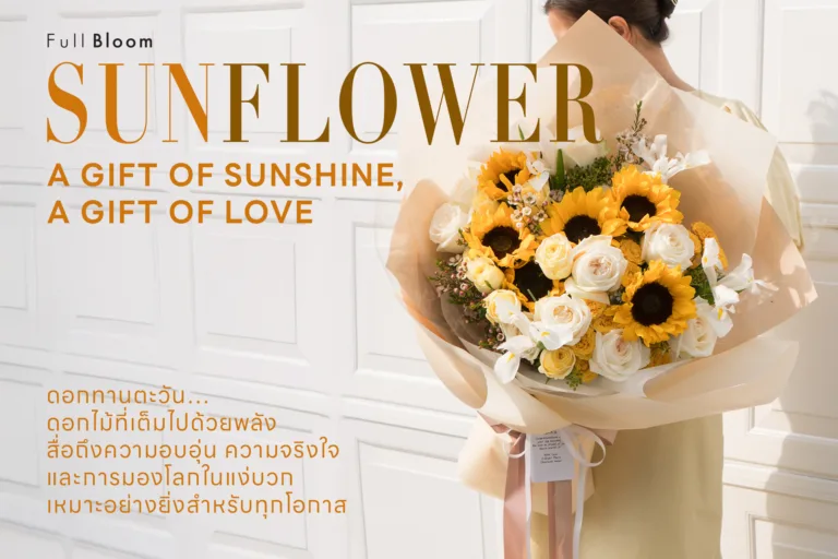 ดอกทานตะวัน – ของขวัญแห่งความสดใสจาก Full Bloom